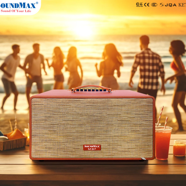 Loa Bluetooth Karaoke Soundmax M67